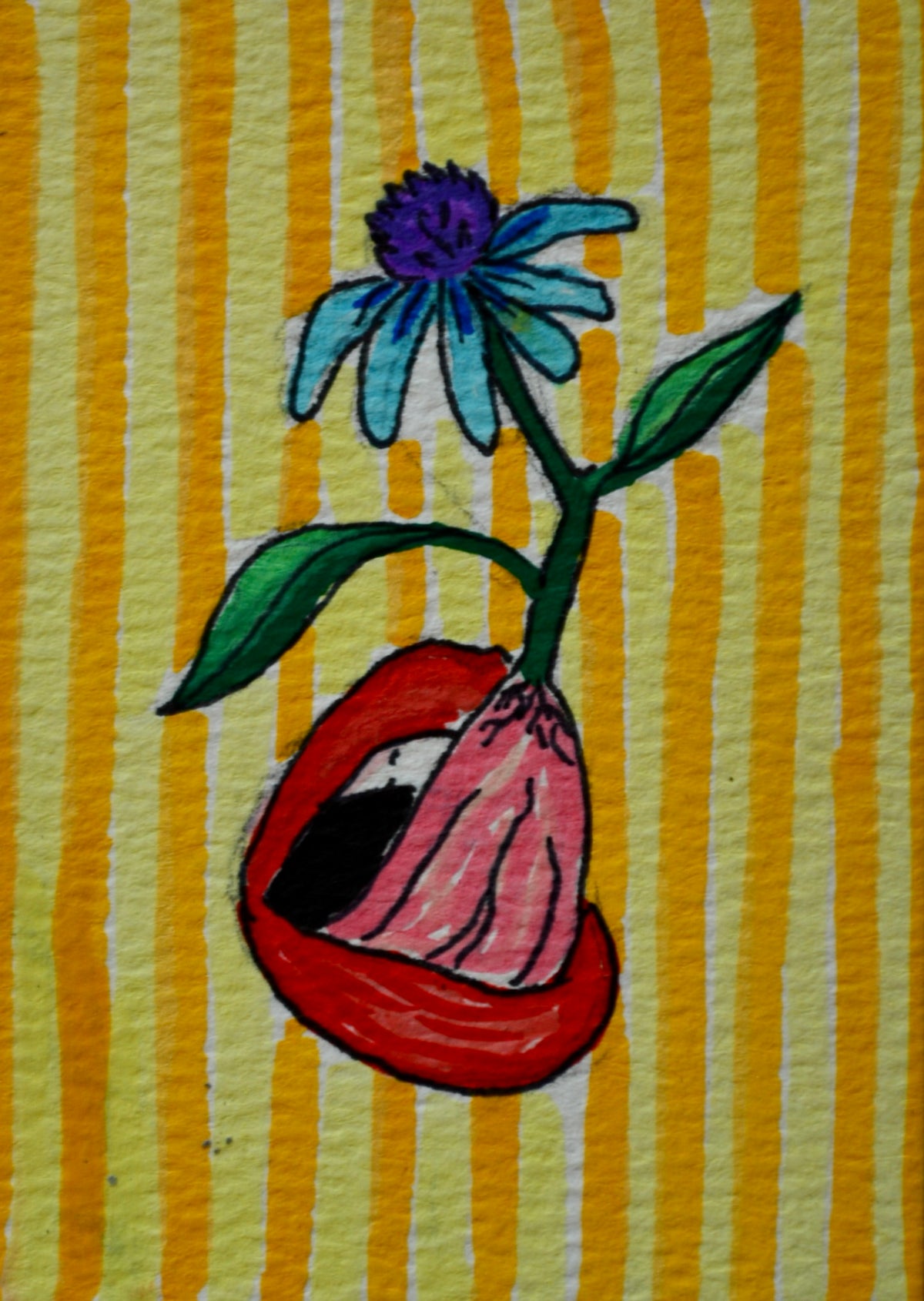 ACEO nature talks