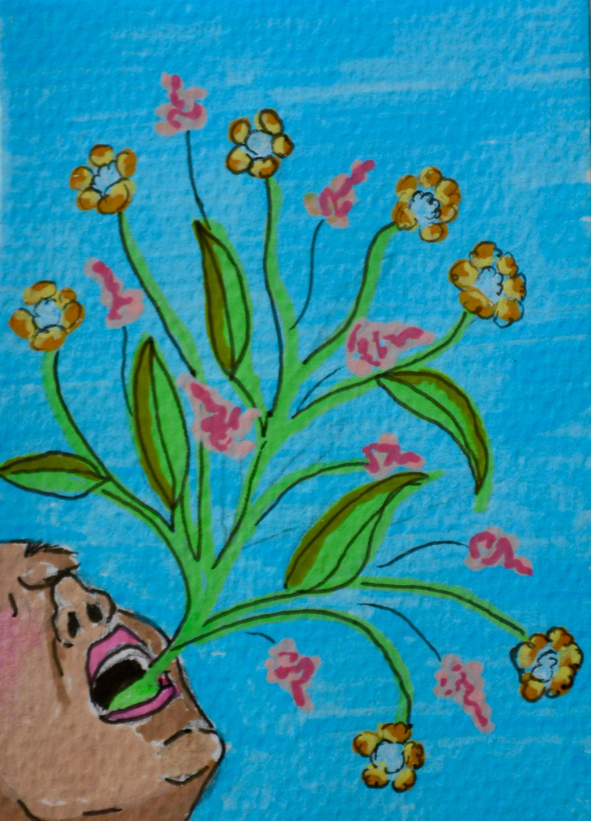 ACEO nature talks 2